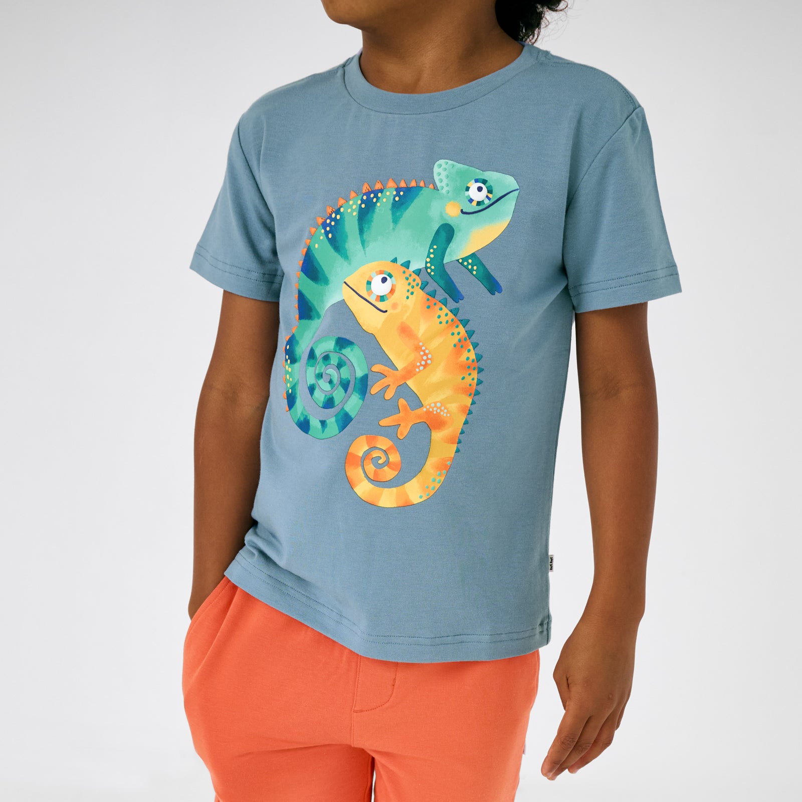 Close up of child wearing the Chameleon Relaxed Tee