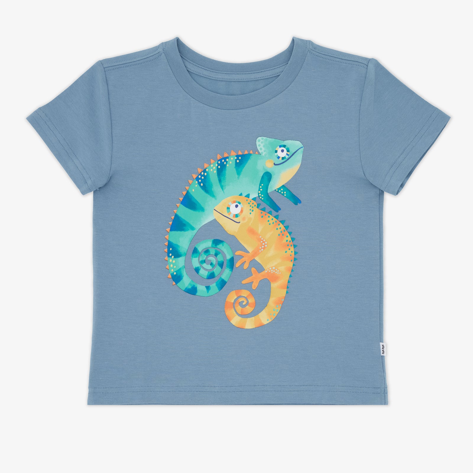 Flat lay of the Chameleon Relaxed Tee