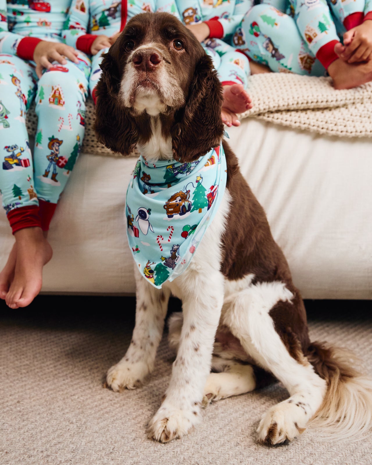 Alternate large dog wearing the Disney & Pixar Christmas Village Pet Bandana