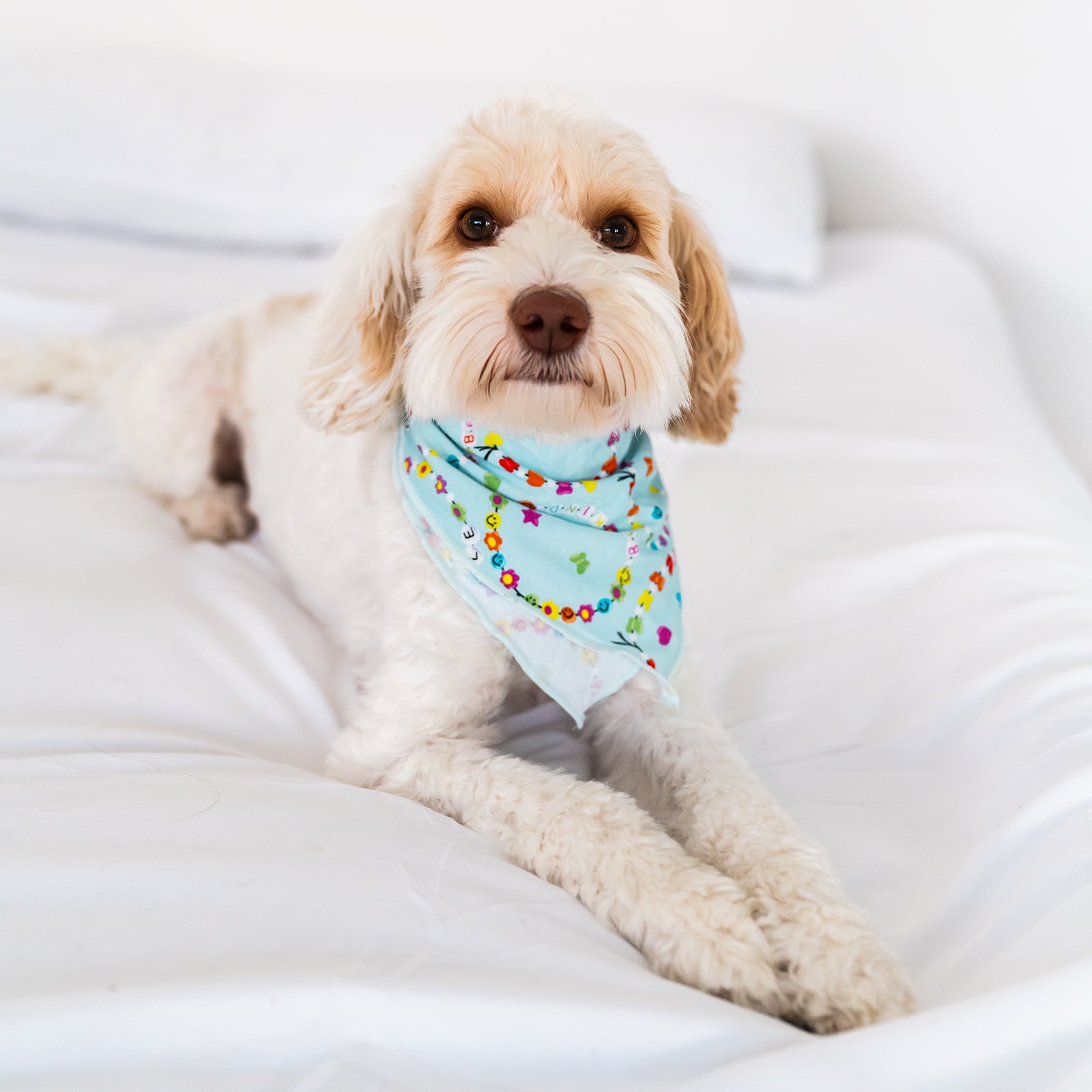 Dog wearing the Friends Forever Pet Bandana