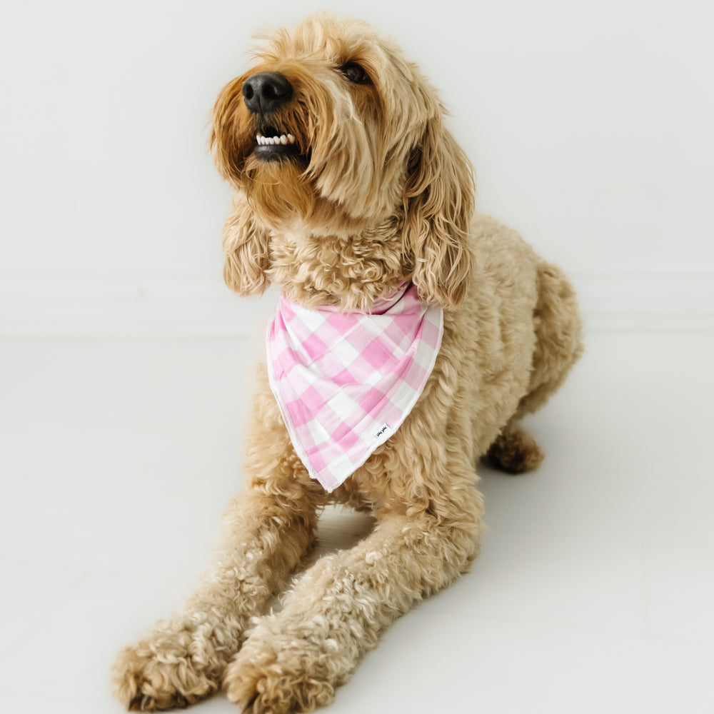 Image of a dog laying down wearing a Pink Gingham pet bandana