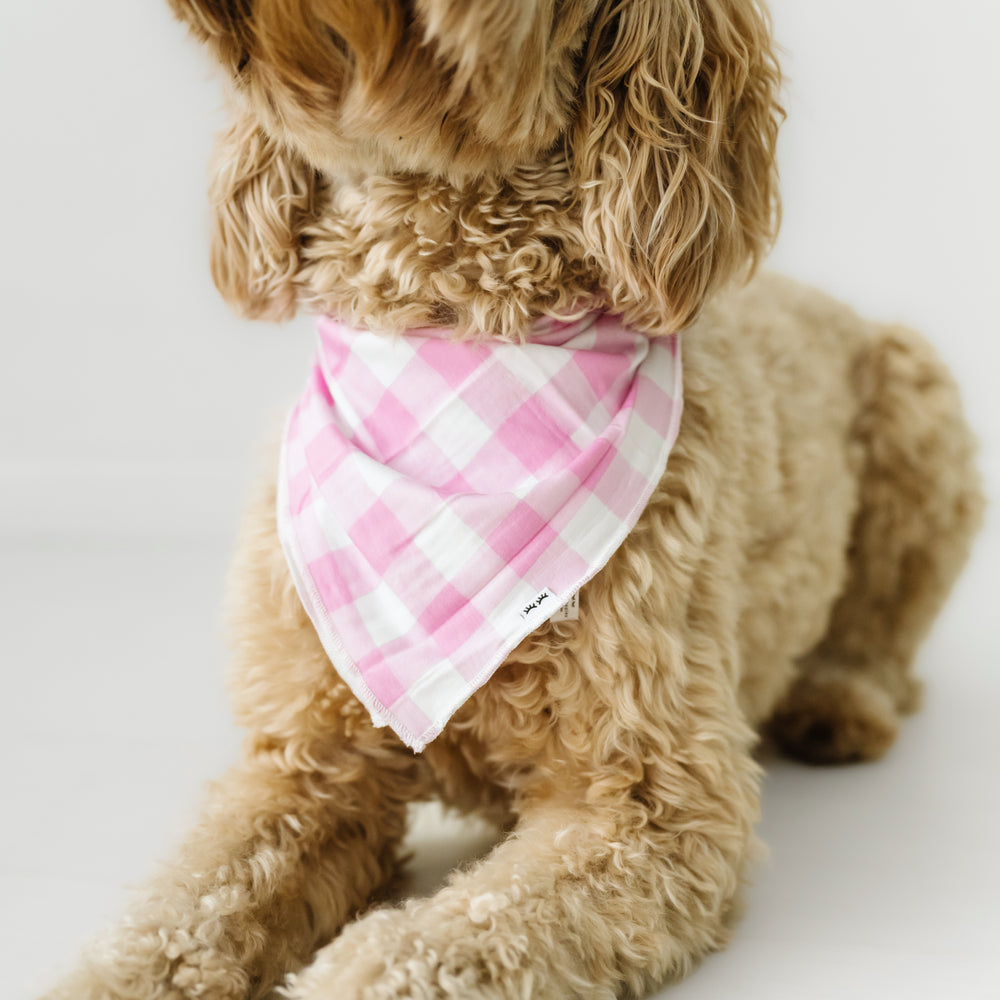 Alternate close up image of a dog wearing a Pink Gingham pet bandana