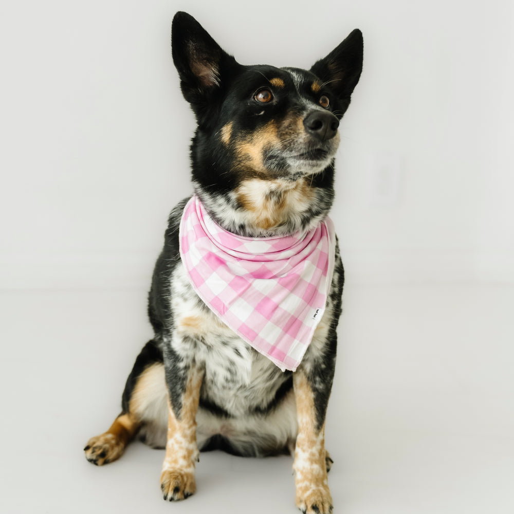 Dog sitting wearing a Pink Gingham pet bandana