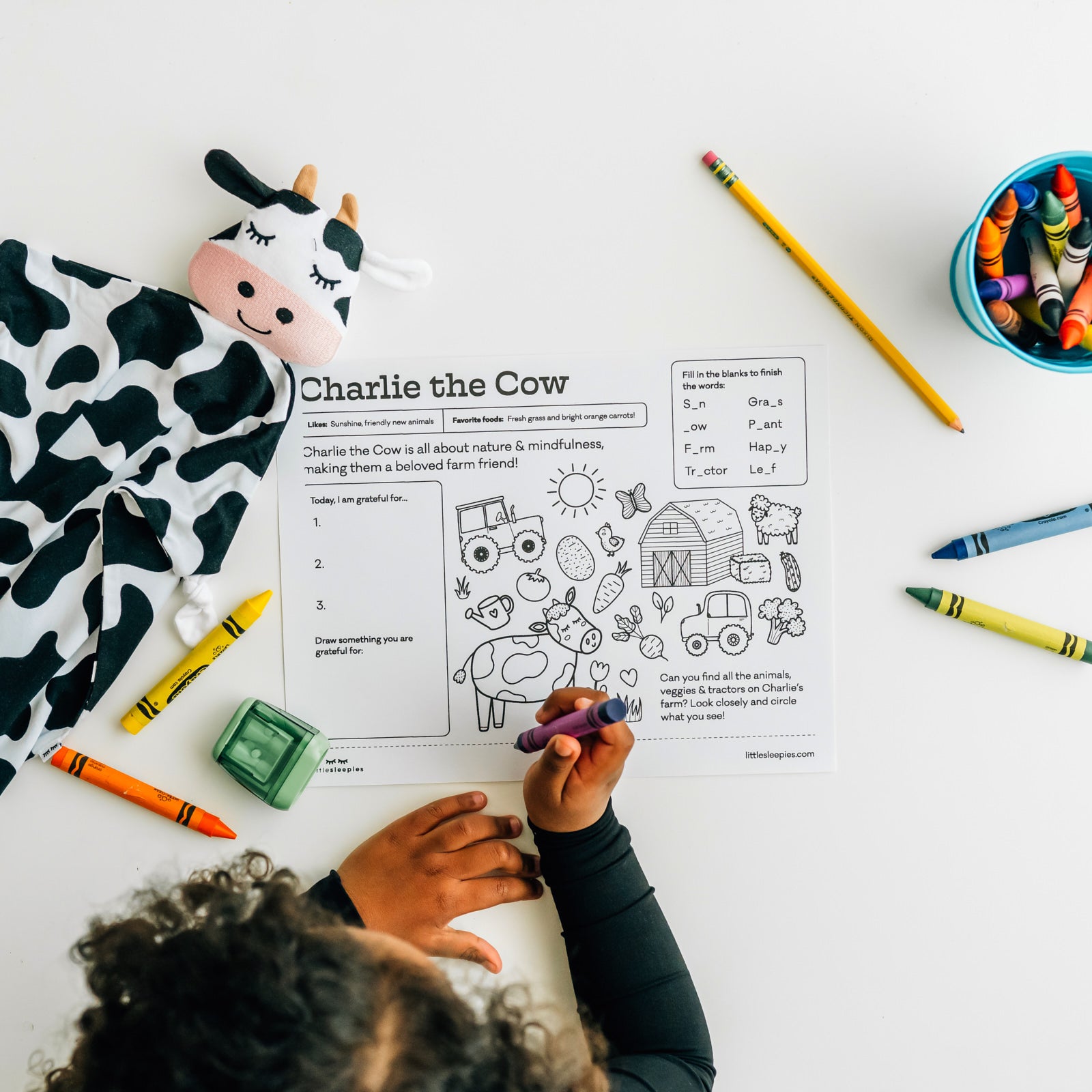 Child filing out a Charlie the Cow coloring page with his Charlie the Cow lovey