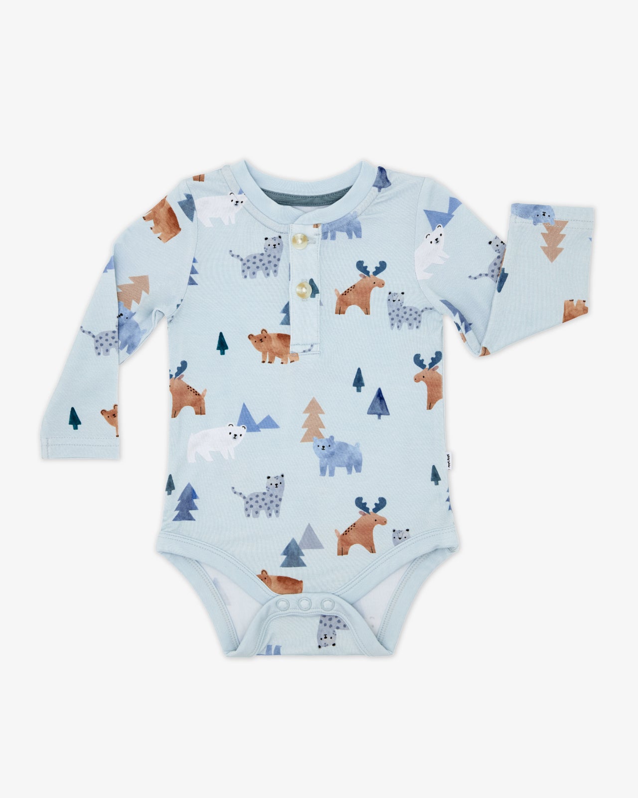 Flat lay of the Alpine Explorers Henley Bodysuit