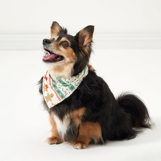 Pet Bandanas – Little Earth Productions