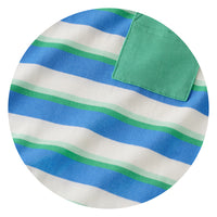 Blue Bolt Stripe swatch