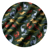 Roar & Explore swatch image