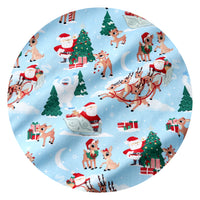 Rudolph's Snowy Adventure swatch