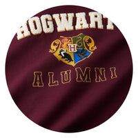 Harry Potter Hogwarts Adult swatch