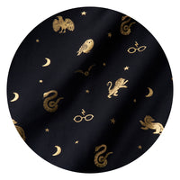 Harry Potter Spellbinding Studies Black swatch