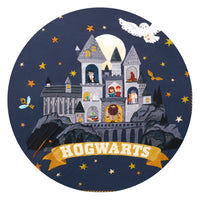 Harry Potter Spellbinding Studies Cloud Blanket swatch