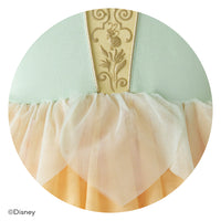 Disney Princess Tiana Dress swatch