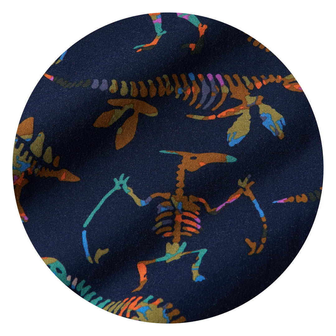 Fossil Quest print swatch
