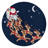 Rudolph Night Ride swatch