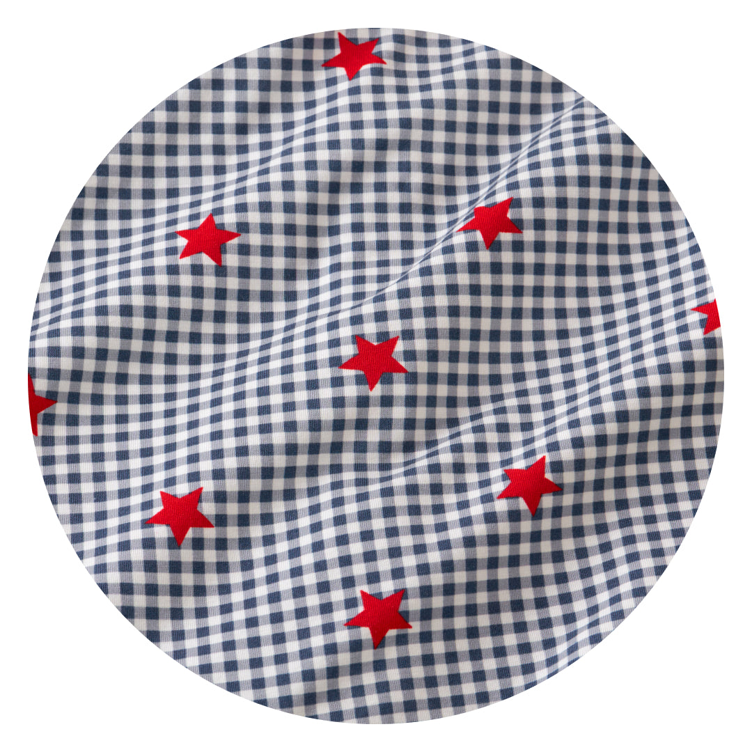 Blue ribbon gingham print swatch