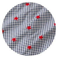 Blue Ribbon Gingham  swatch