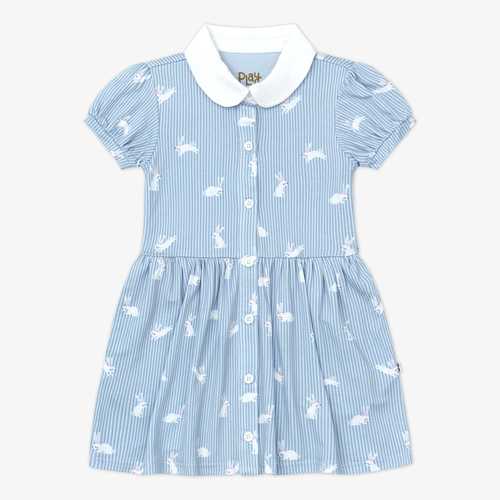 Bunny Stripe Button Down Dress