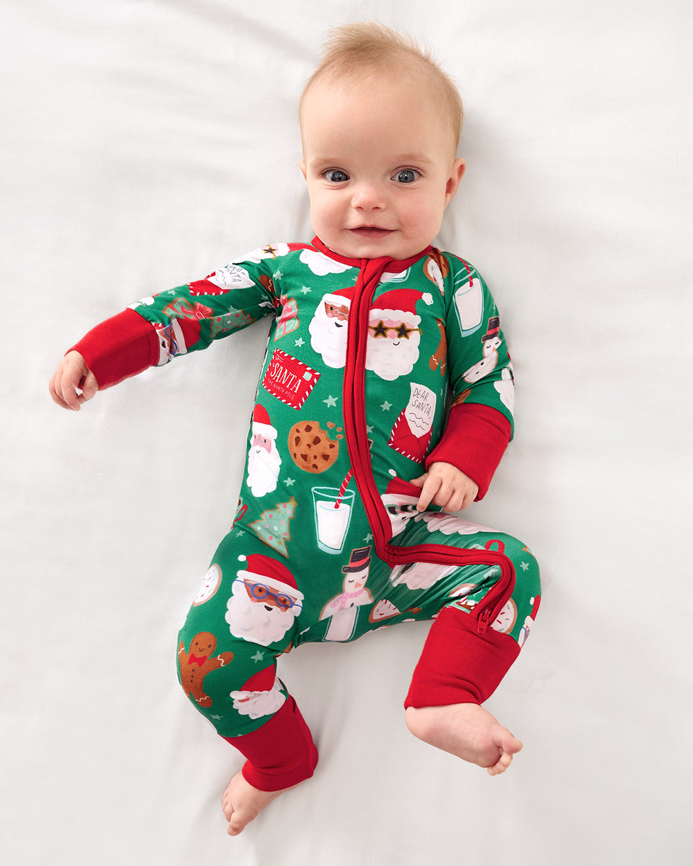 Cookies for Santa Zippy