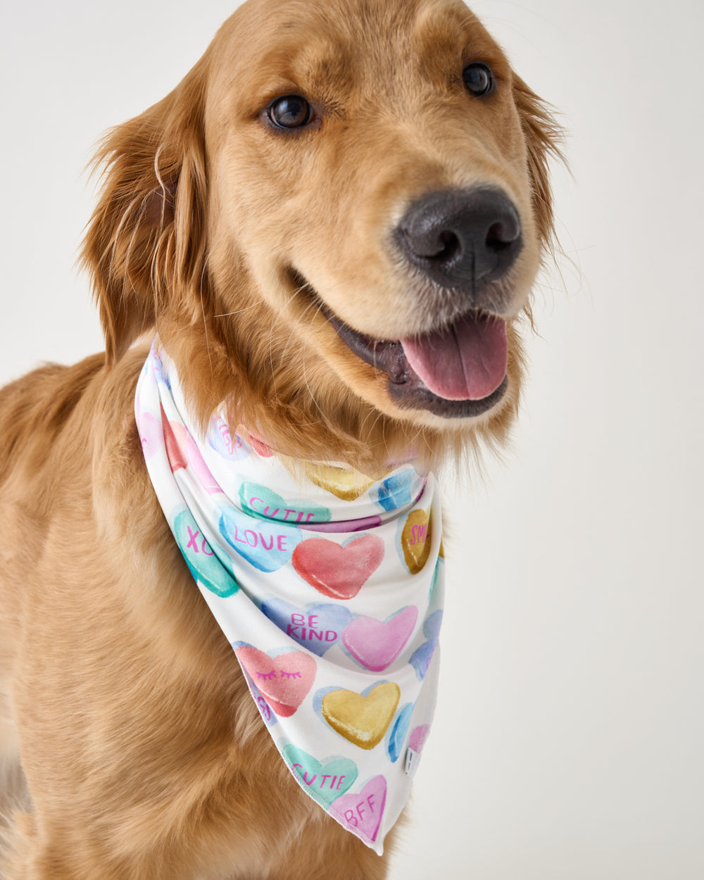 Close up of dog wearing the Candy Cuties Pet Bandana