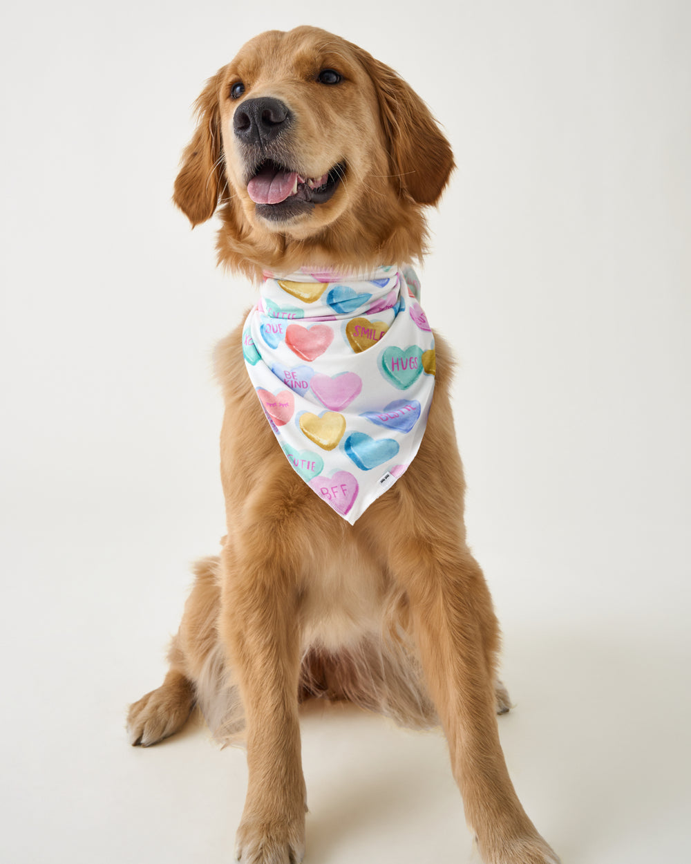 Dog wearing the Candy Cuties Pet Bandana