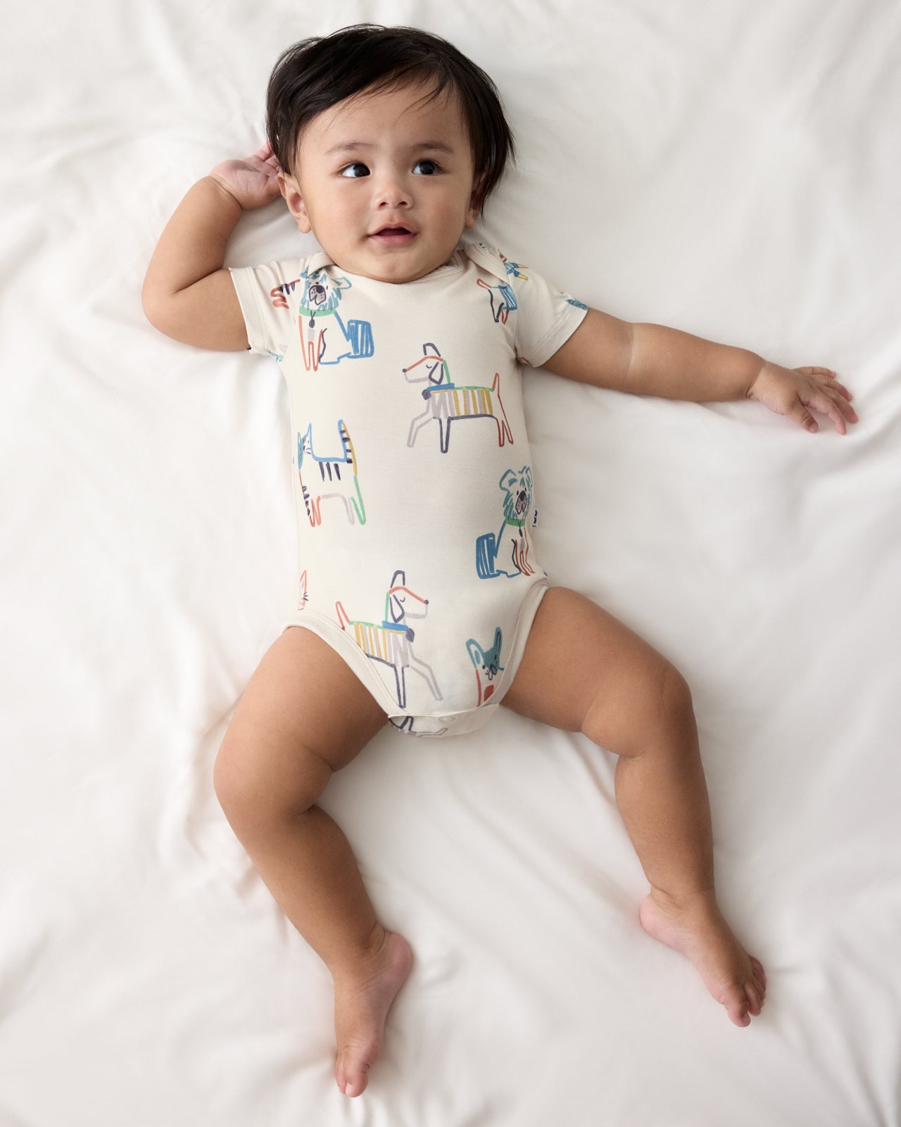 Aerial view of baby wearing the Whiskers & Wags Bodysuit