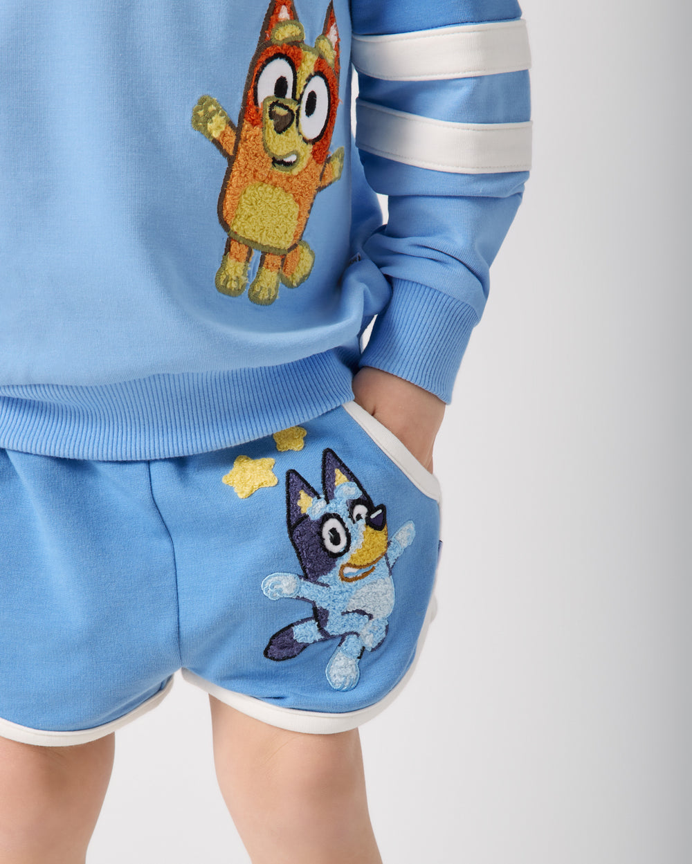 Close up of the Bluey Best Day Ever Dolphin Shorts