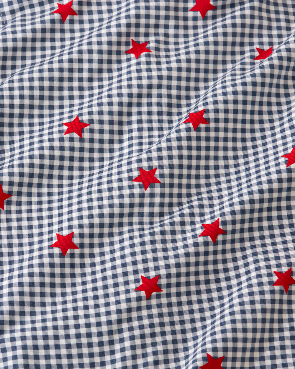 Close up of the Blue Ribbon Gingham fabric 