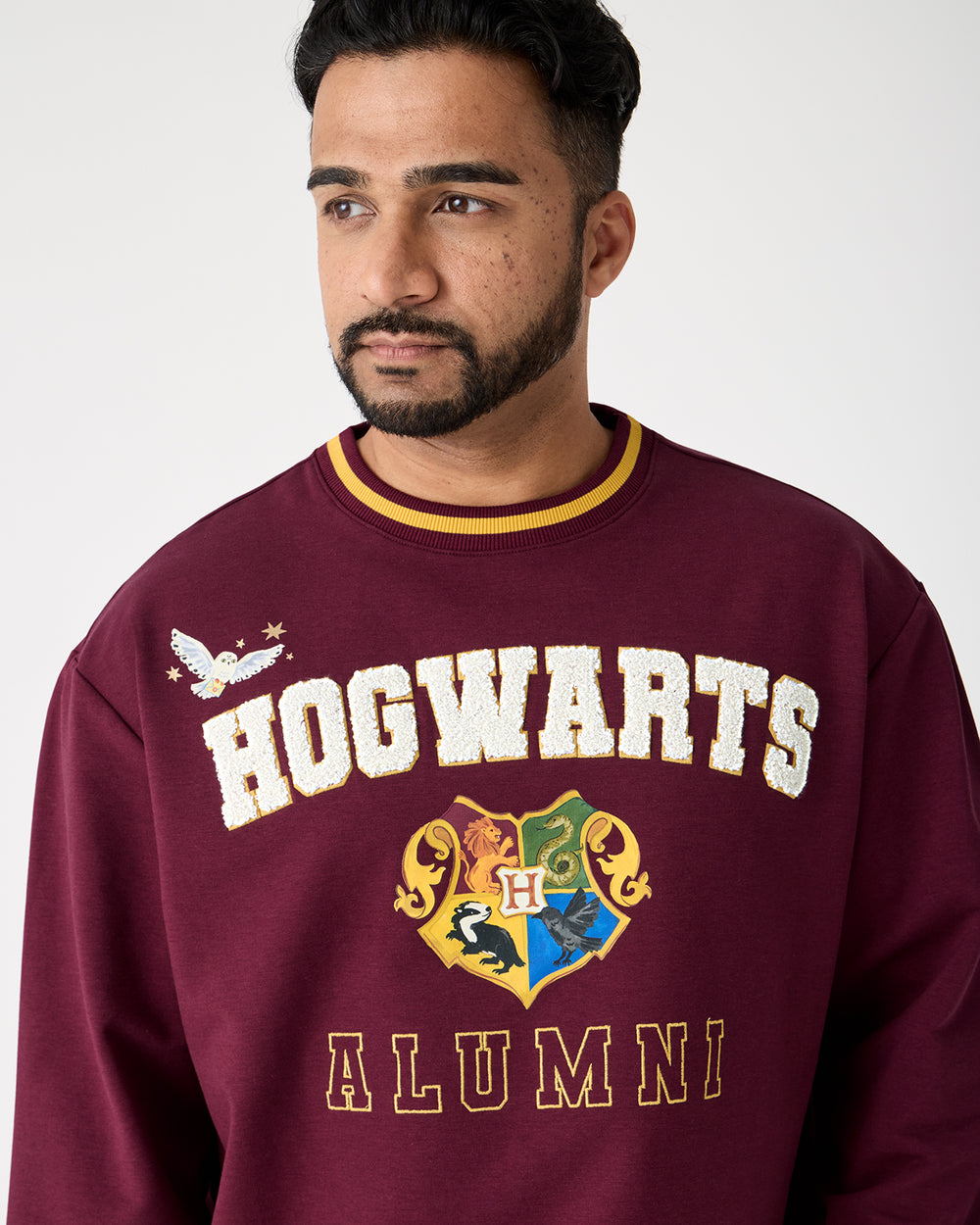 Close up of man wearing the Harry Potter™ Spellbinding Studies Adult Crewneck Sweatshirt