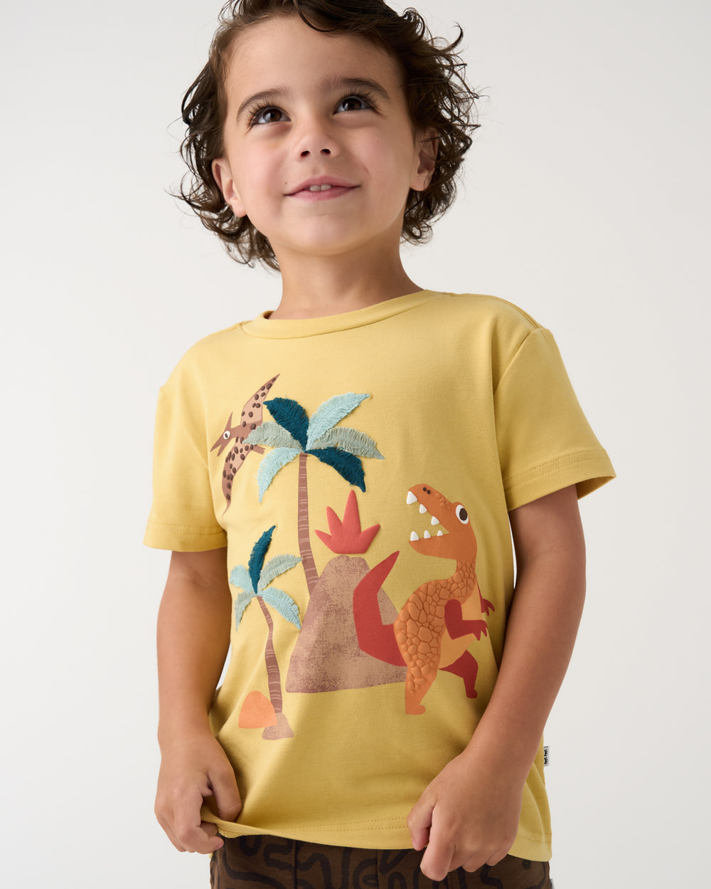 Boy wearing the Volcano Valley Relaxed Tee