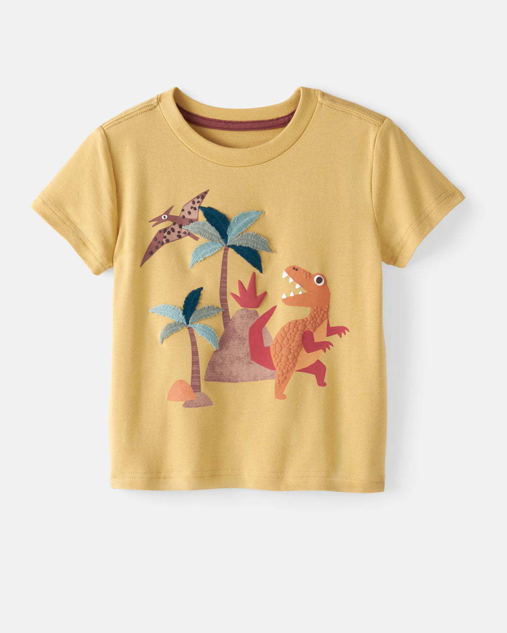 Flat lay of the Volcano Valley Relaxed Tee