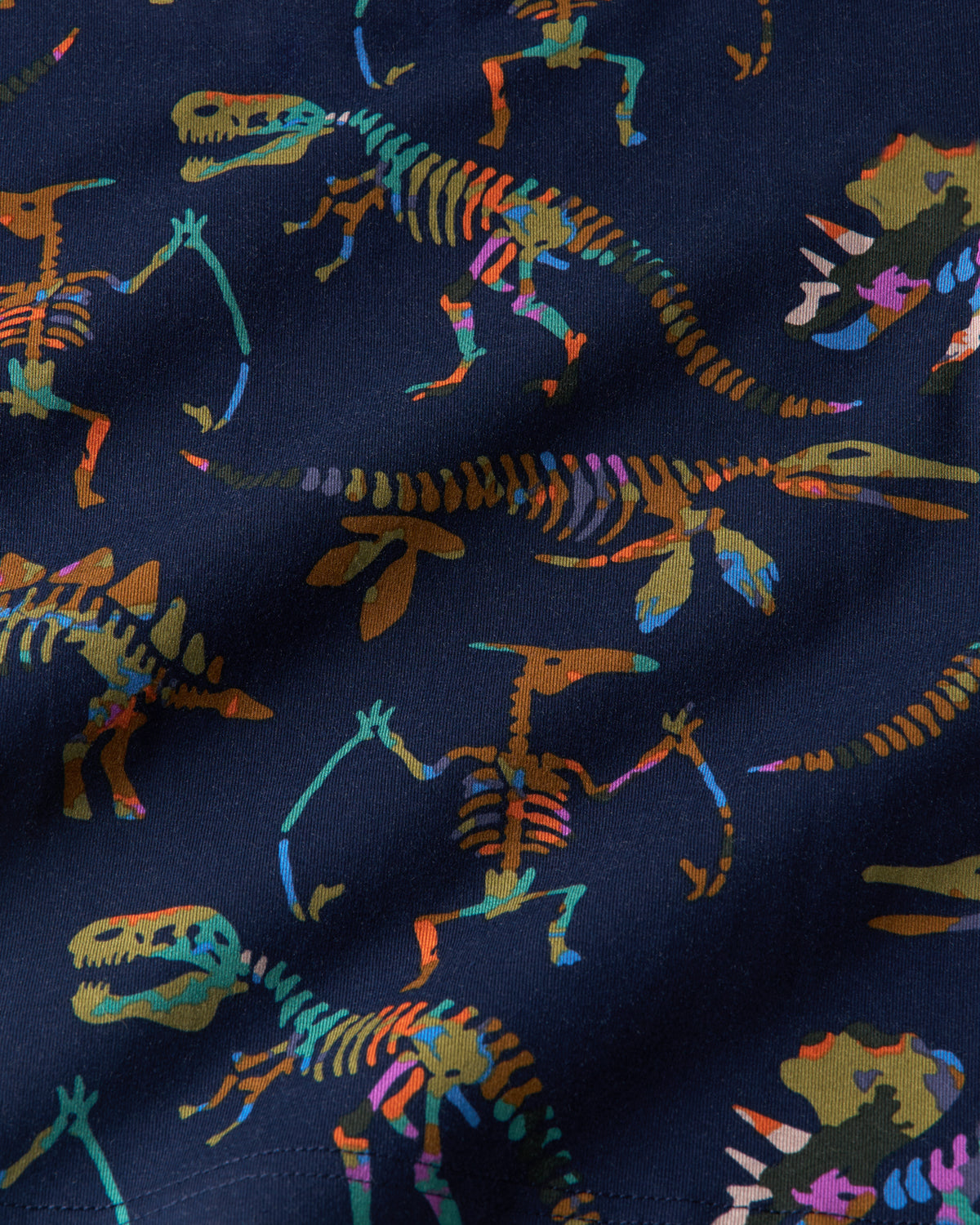 Close up of the Fossil Quest fabric