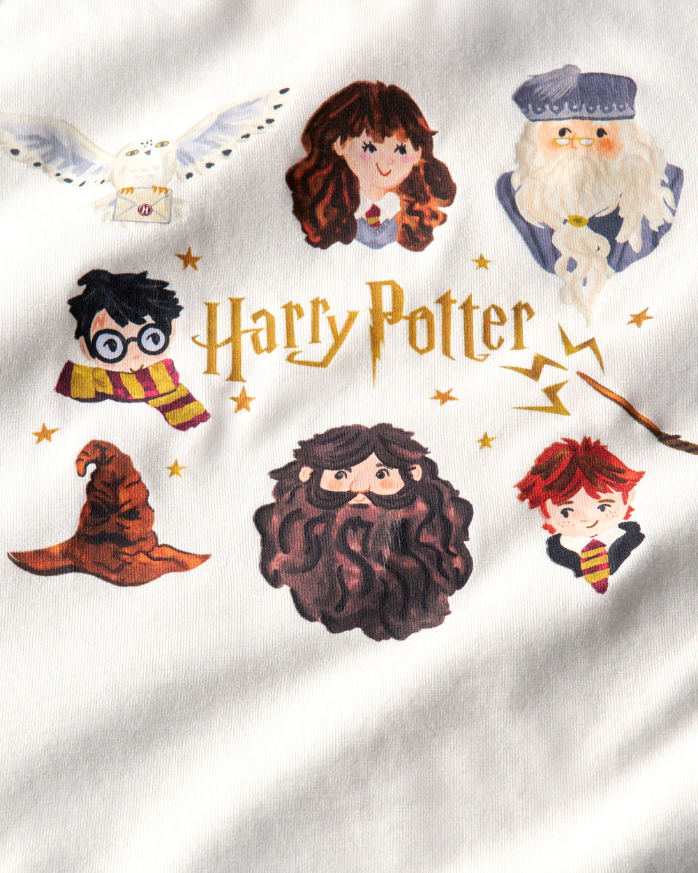 Close up of the graphic detail on the Harry Potter™ Spellbinding Studies Relaxed Tee
