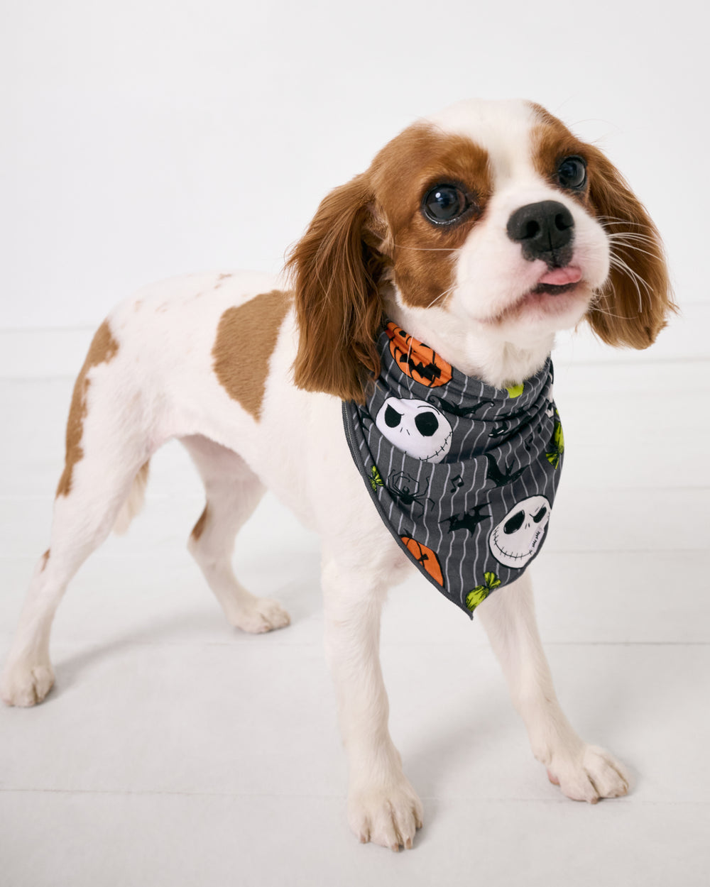 Alternate of small dog wearing the Disney The Nightmare Before Christmas Pet Bandana