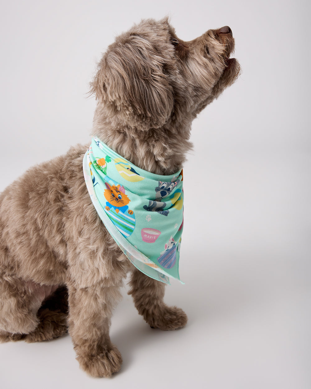 Dog wearing the Disney Peekaboo Pets Pet Bandana