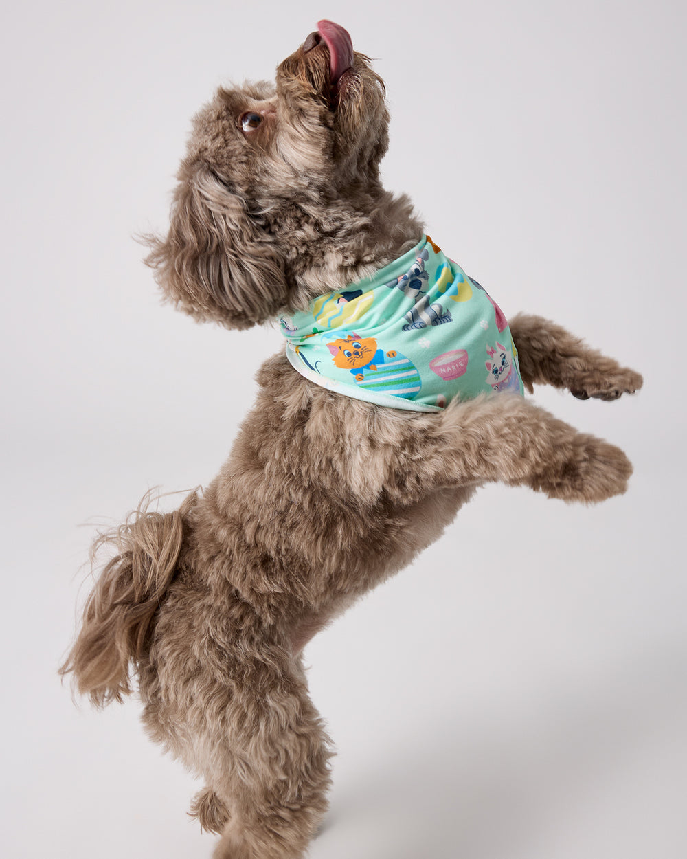 Dog in motion wearing the Disney Peekaboo Pets Pet Bandana
