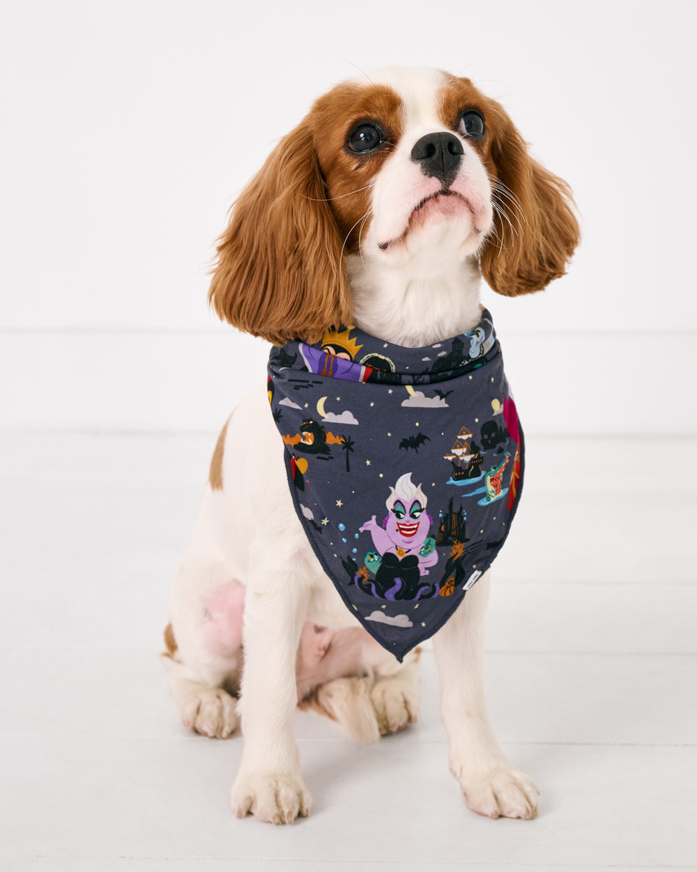 Sitting dog wearing the Disney Villains Pet Bandana
