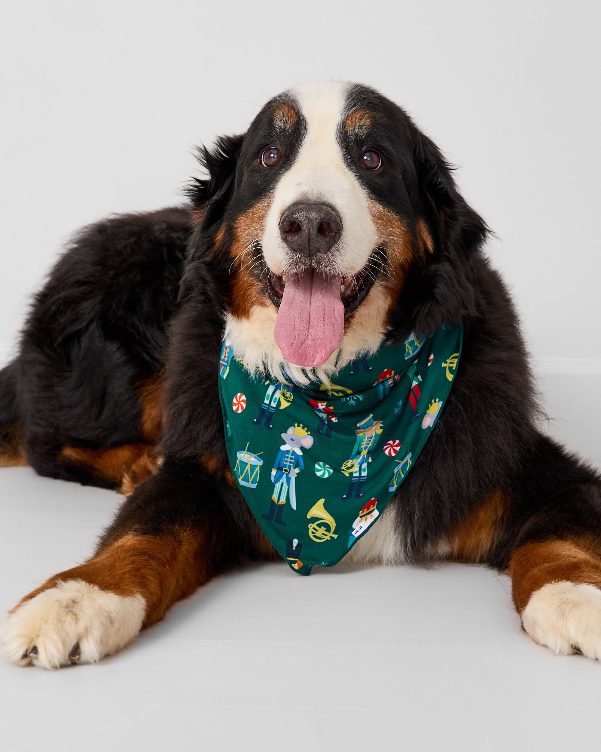 Dog wearing the Nutcracker March Pet Bandana
