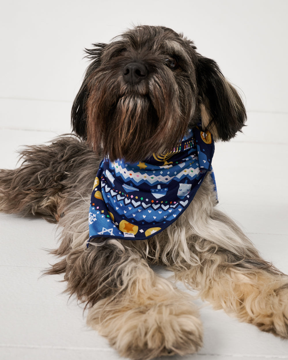Dog wearing the Hanuakkah Fair Isle Pet Bandana