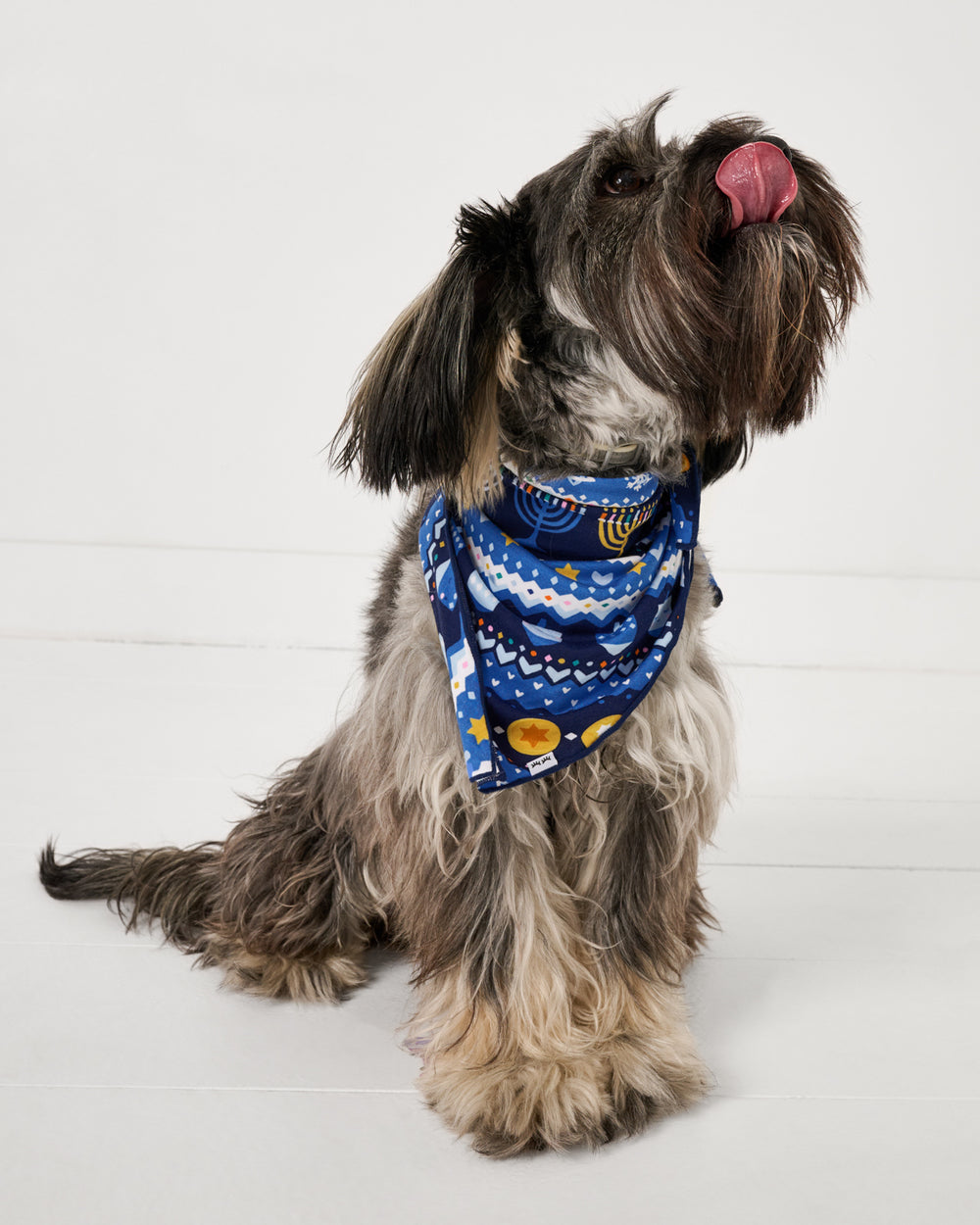 Sitting dog wearing the Hanuakkah Fair Isle Pet Bandana