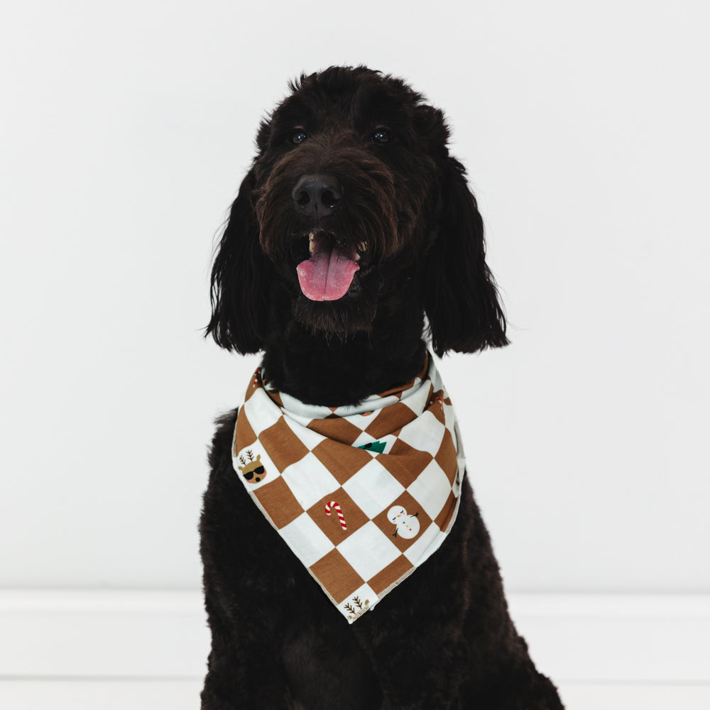 image of a black/brown dog wearing the Holiday Checks Pet Bandana