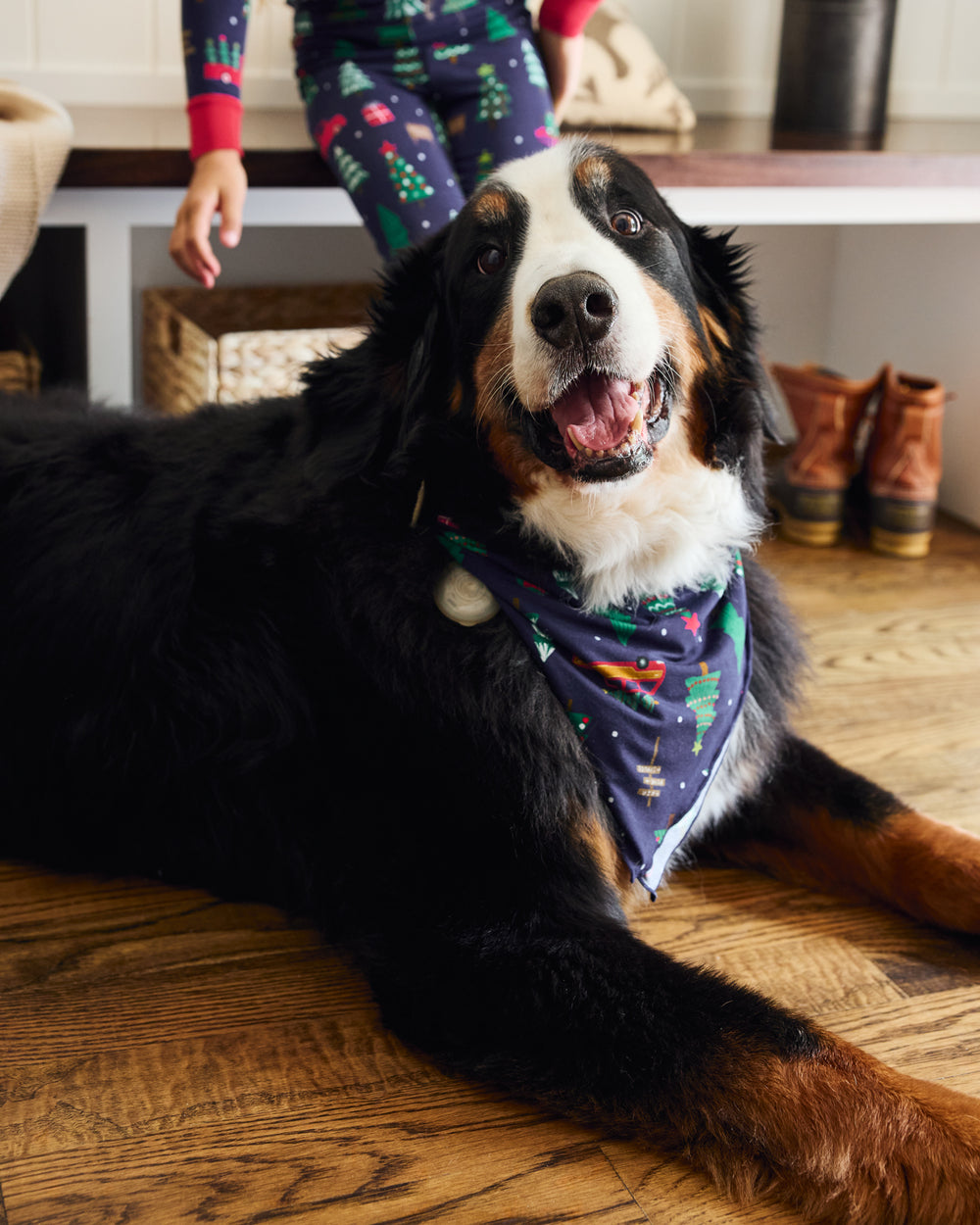Large dog wearing the Navy Tree Traffic Pet Bandana