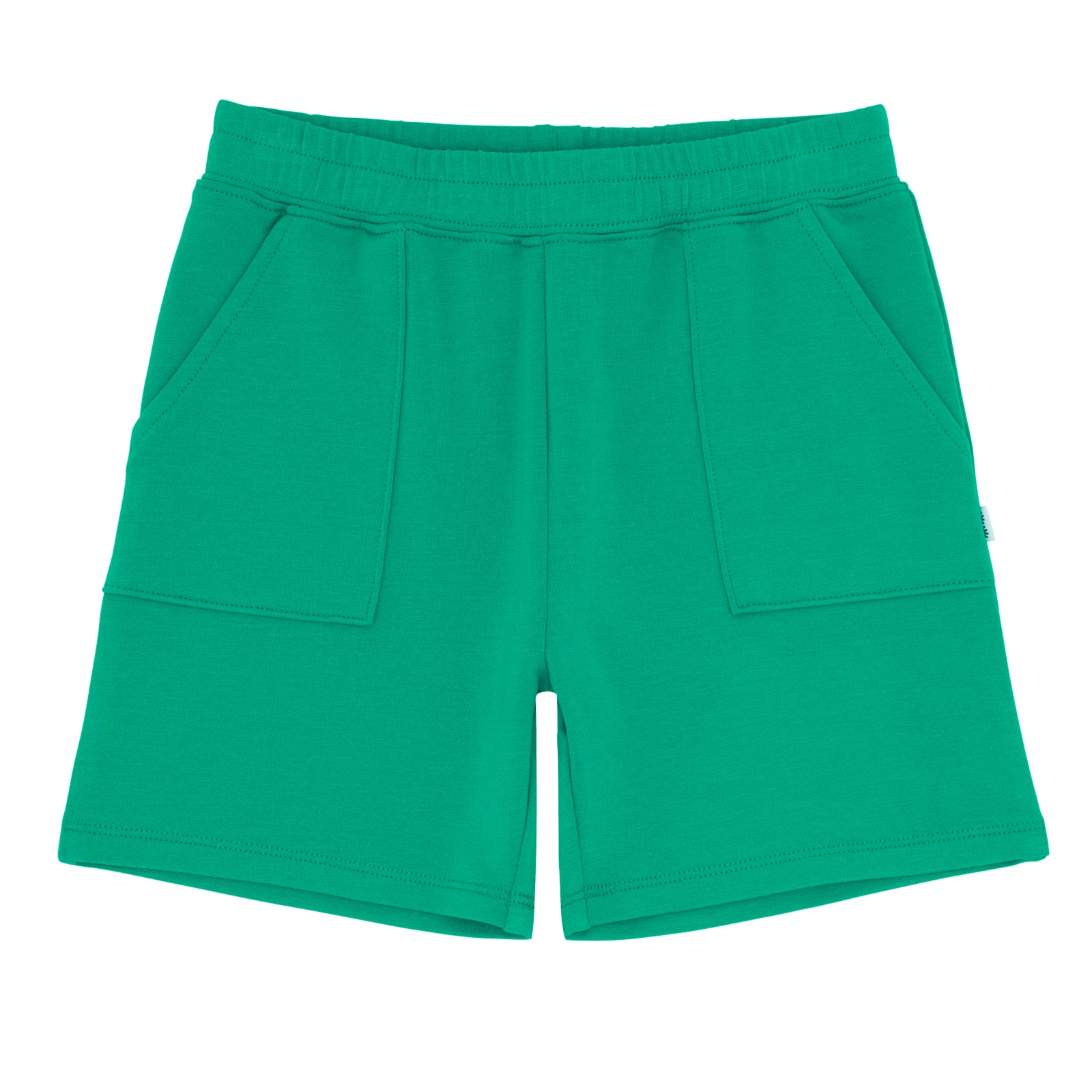 Flat lay image of Marine Green shorts