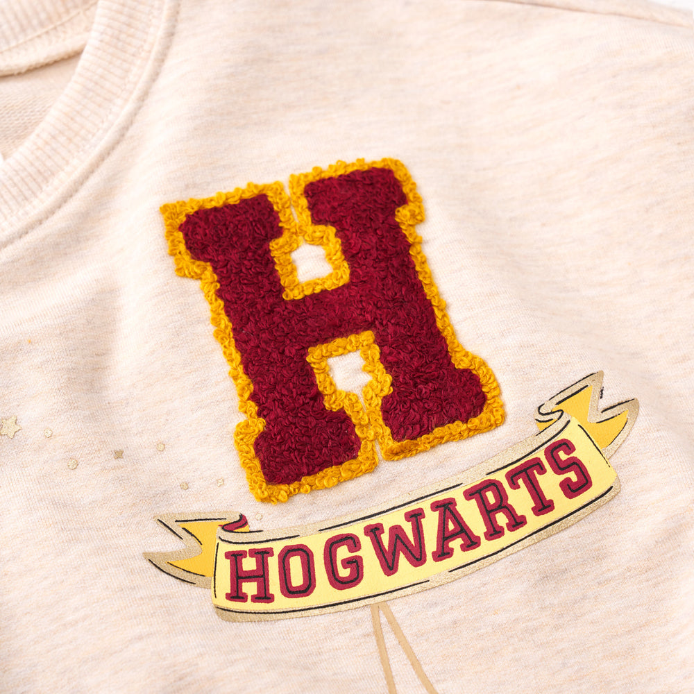 Close up detail shot of a Harry Potter Drop Shoulder Crewneck