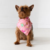 Image of a dog wearing a Pink All Stars pet bandana