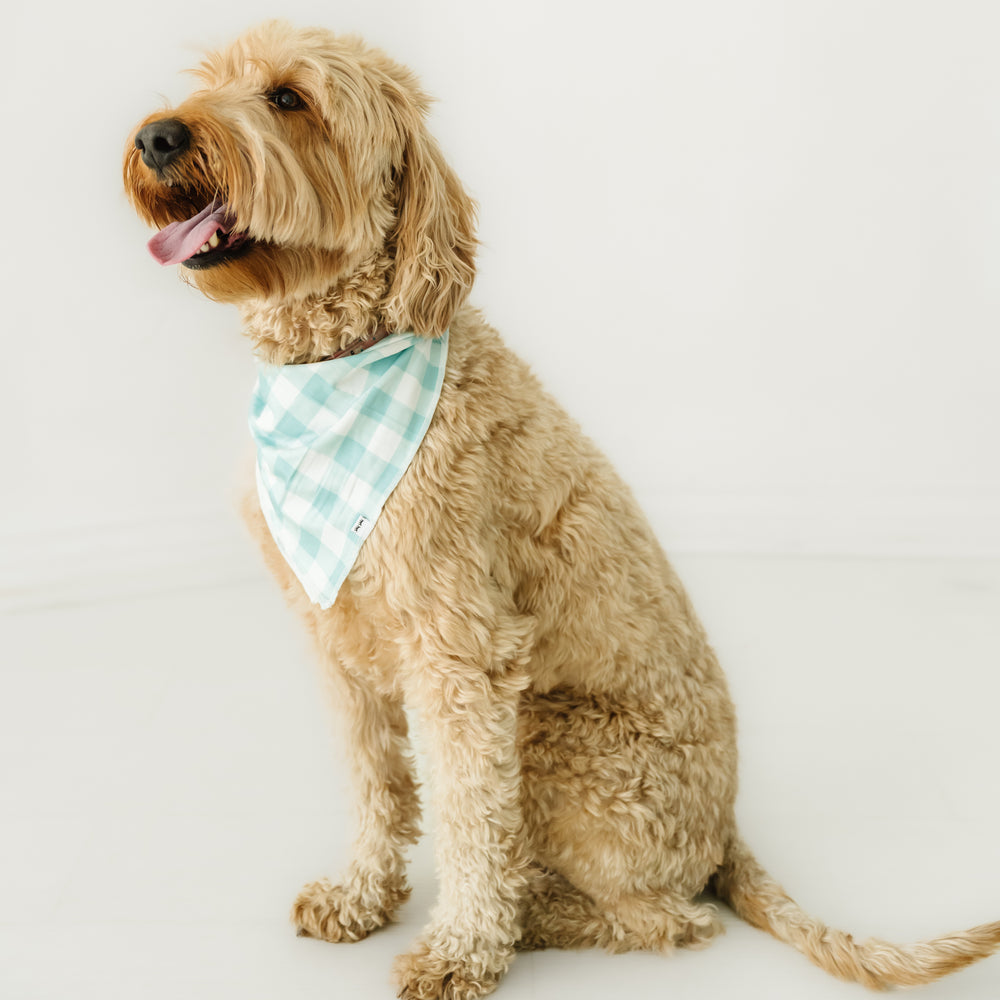 Profile view of a dog wearing an Aqua Gingham Pet bandana 