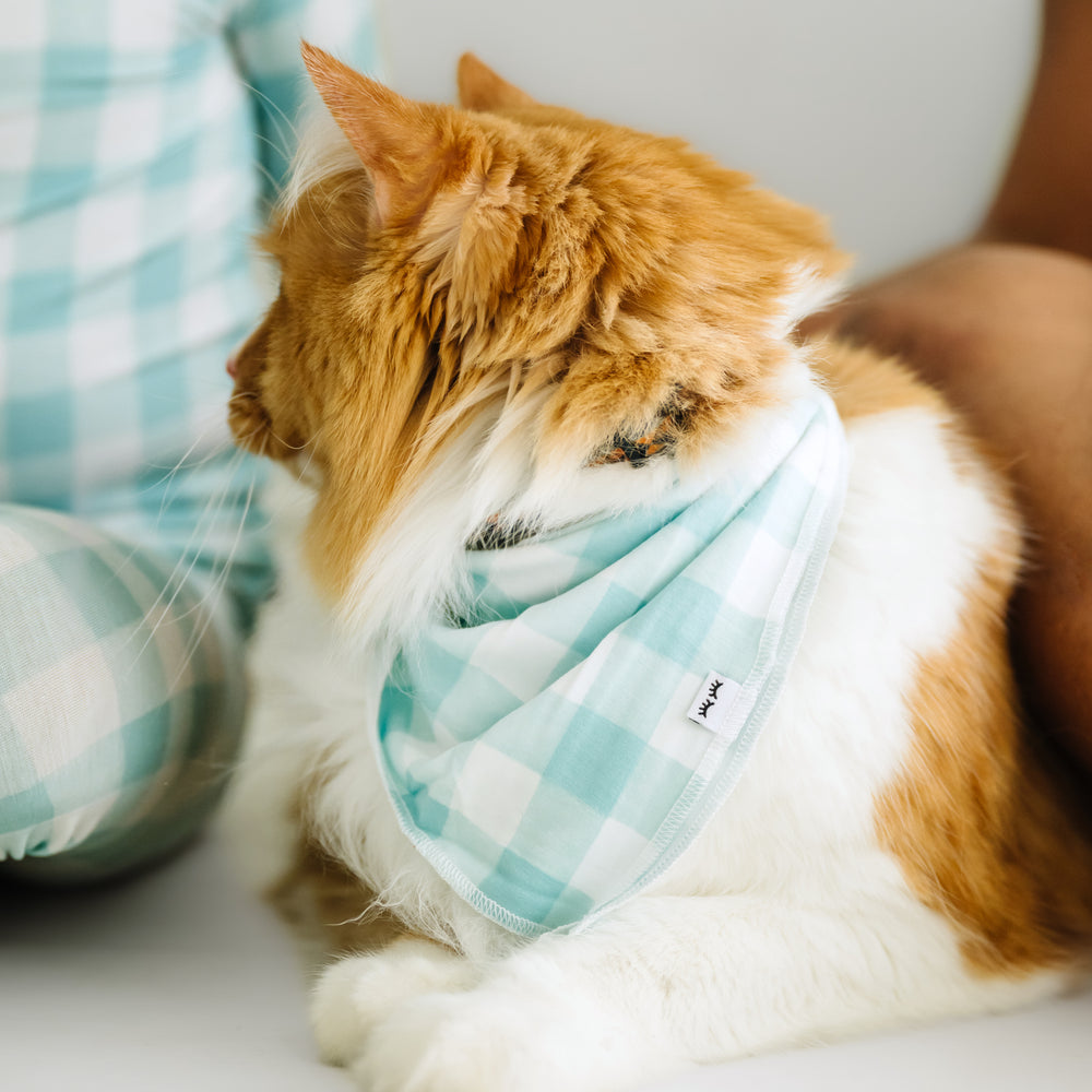 Click to see full screen - profile view of a cat wearing an Aqua Gingham pet bandana