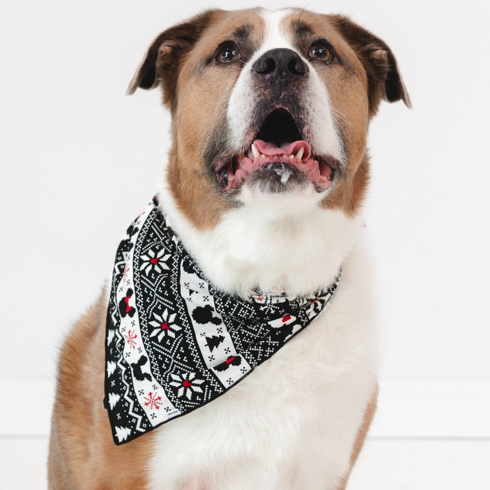 Close up image of a dog wearing a Mickey Fair Isle pet bandana 