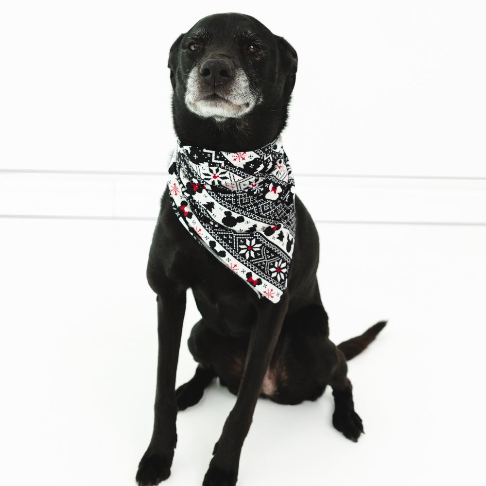 Alternate image of a dog wearing a Mickey Fair Isle pet bandana 