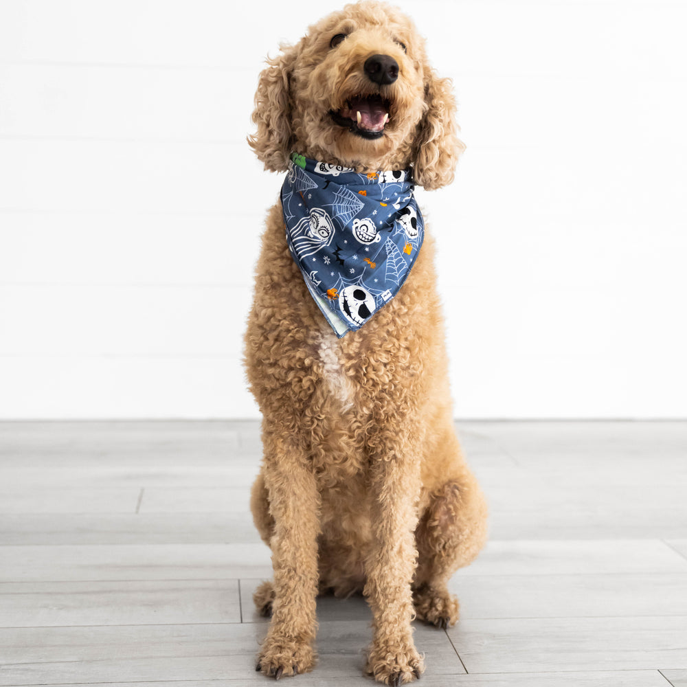 Beige dog sitting in the Disney Jack & Crew Pet Bandana